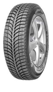 Sava Eskimo Ice XL 205/60R16 96T